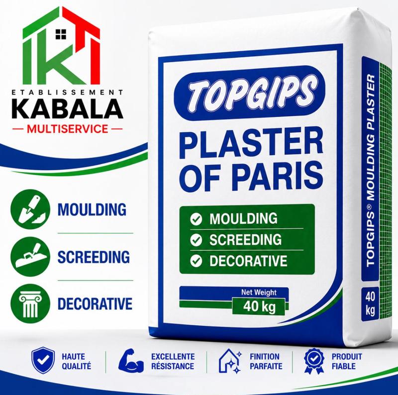 Platre De Moulage Top Gips